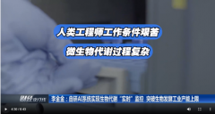 极摸索AI取工业化连系径